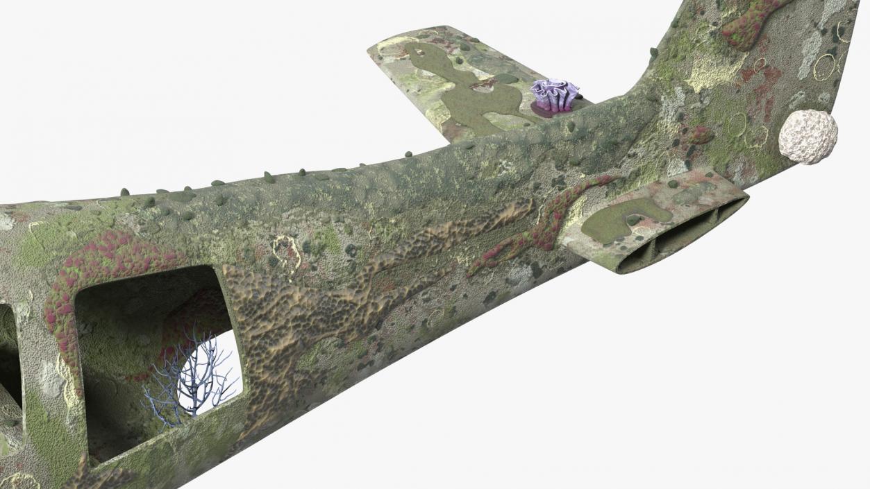 3D Airplane Wreckage from the Seabed model