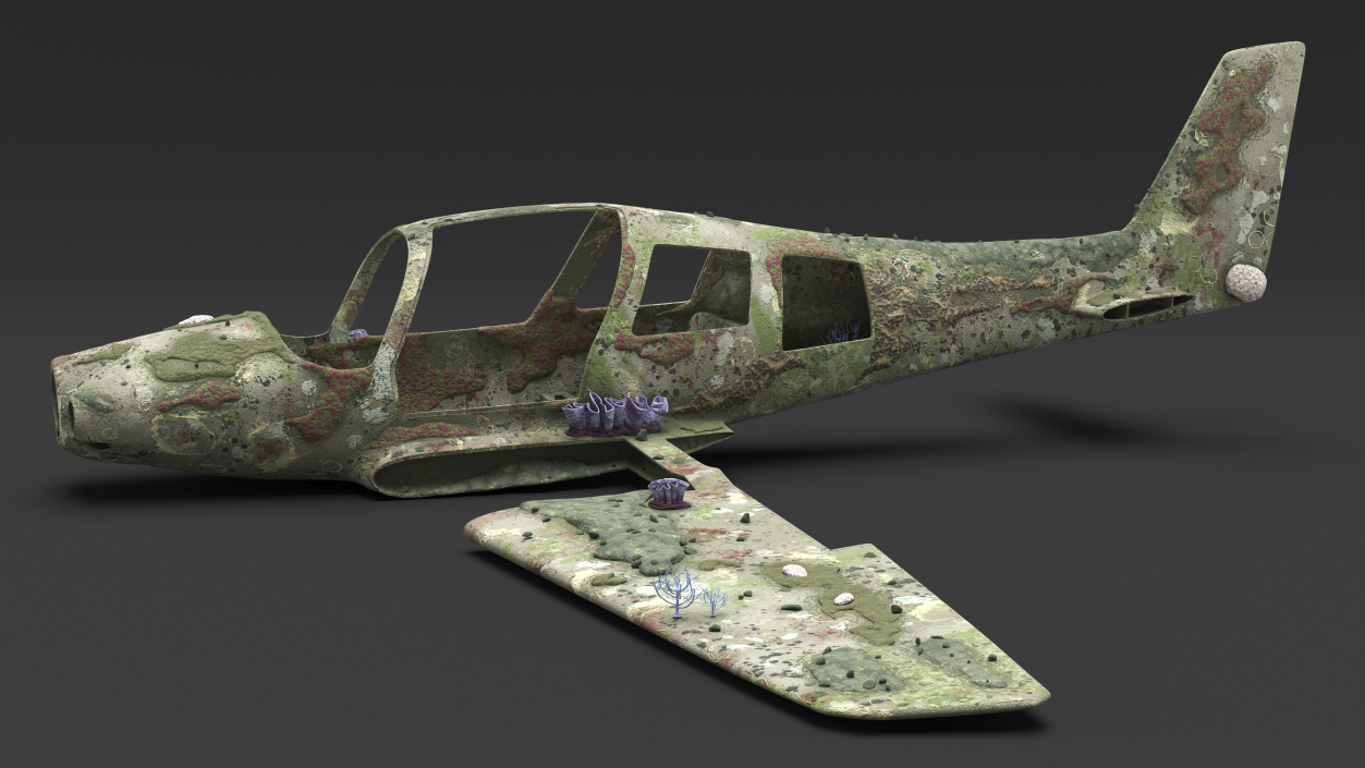 3D Airplane Wreckage from the Seabed model