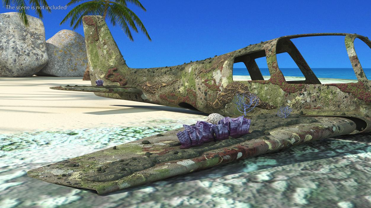 3D Airplane Wreckage from the Seabed model