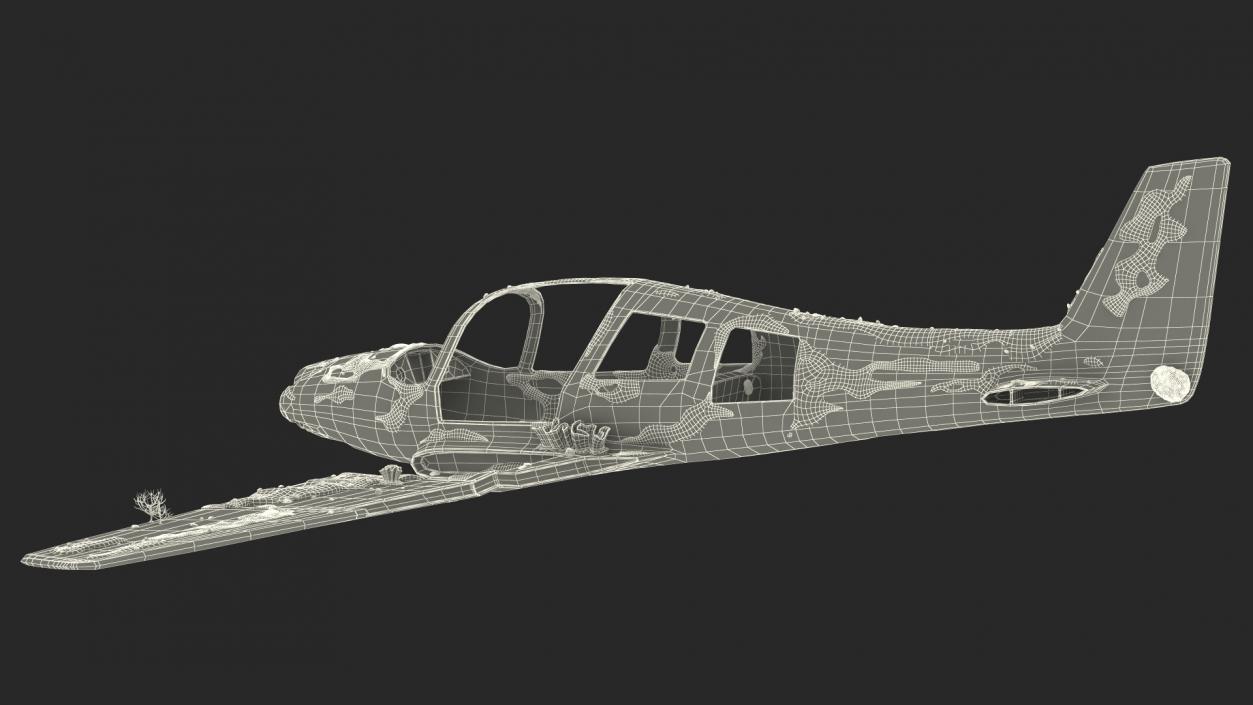 3D Airplane Wreckage from the Seabed model