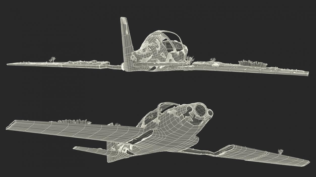 3D Airplane Wreckage from the Seabed model