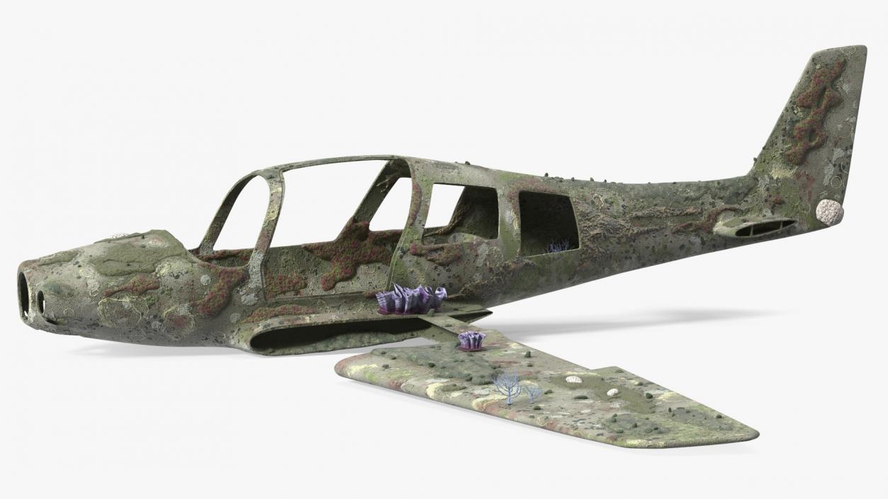 3D Airplane Wreckage from the Seabed model