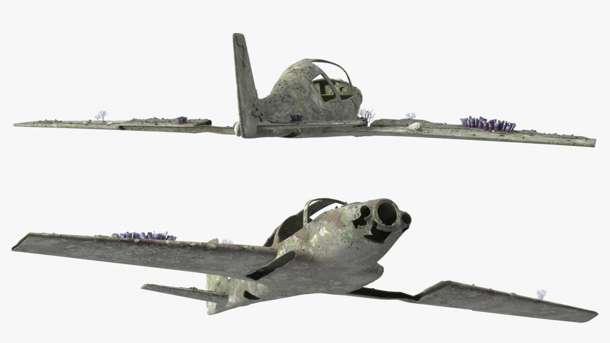 3D Airplane Wreckage from the Seabed model