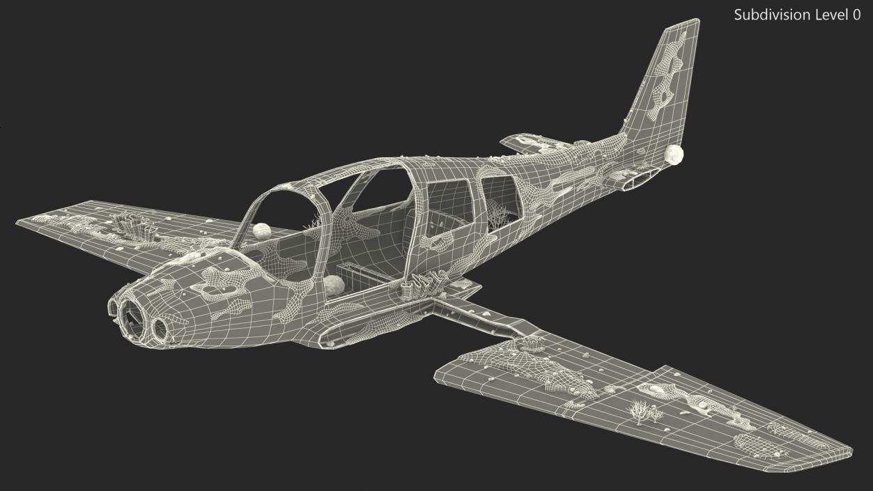 3D Airplane Wreckage from the Seabed model