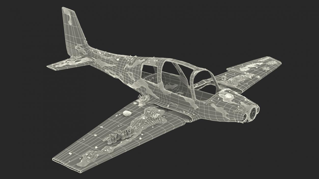 3D Airplane Wreckage from the Seabed model