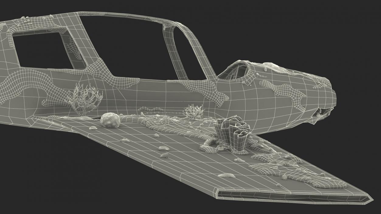 3D Airplane Wreckage from the Seabed model