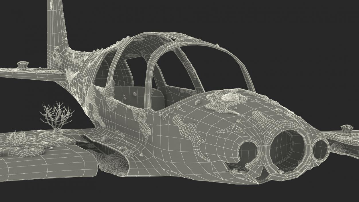 3D Airplane Wreckage from the Seabed model