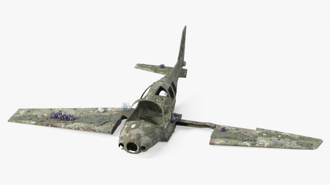 3D Airplane Wreckage from the Seabed model