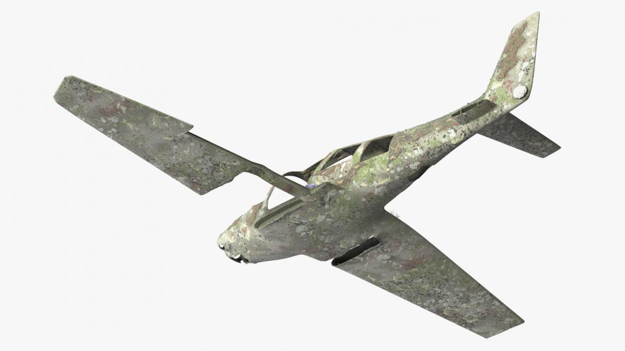 3D Airplane Wreckage from the Seabed model