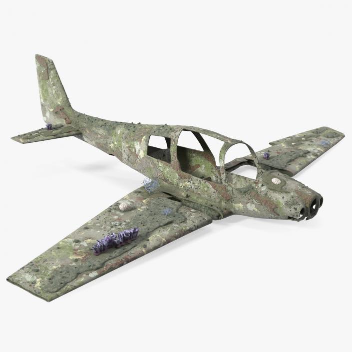 3D Airplane Wreckage from the Seabed model