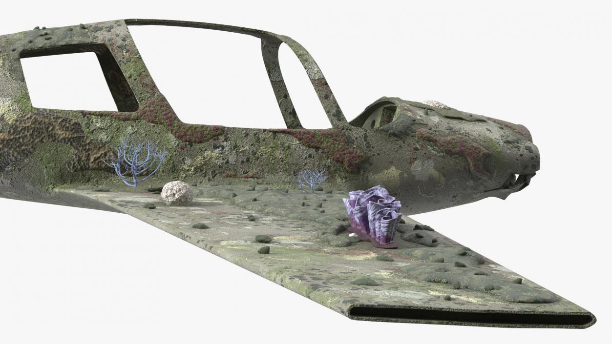 3D Airplane Wreckage from the Seabed model