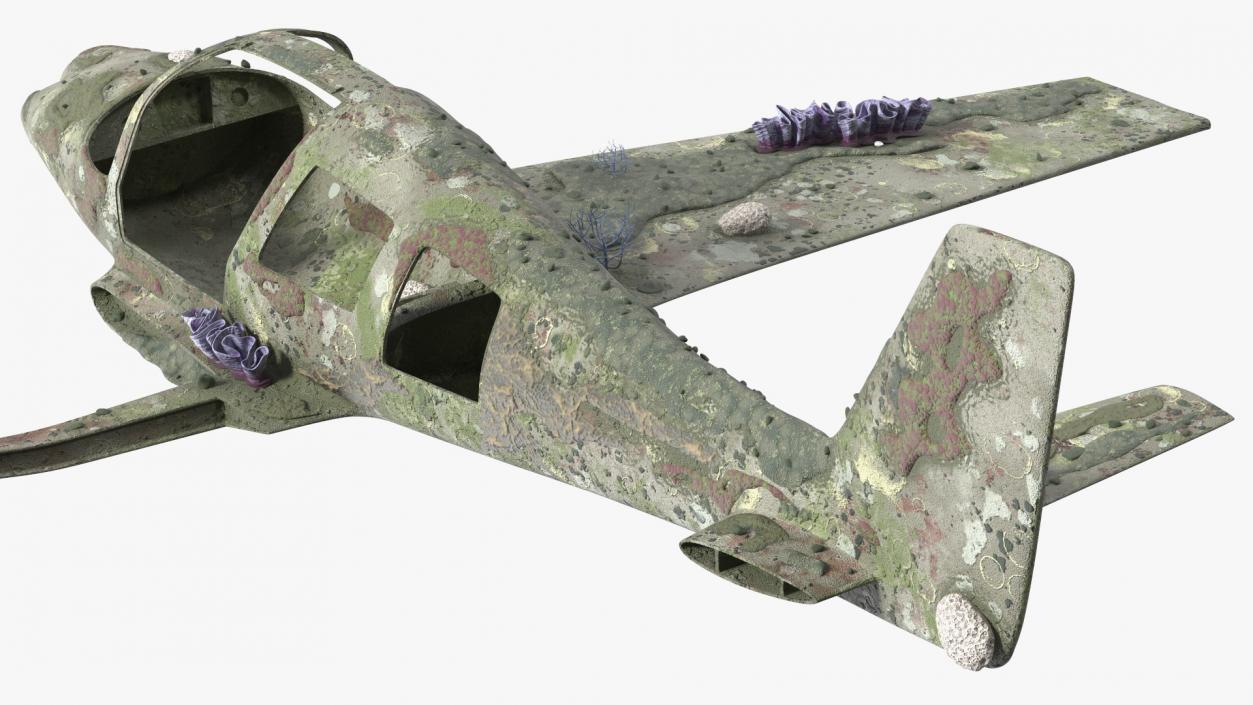 3D Airplane Wreckage from the Seabed model