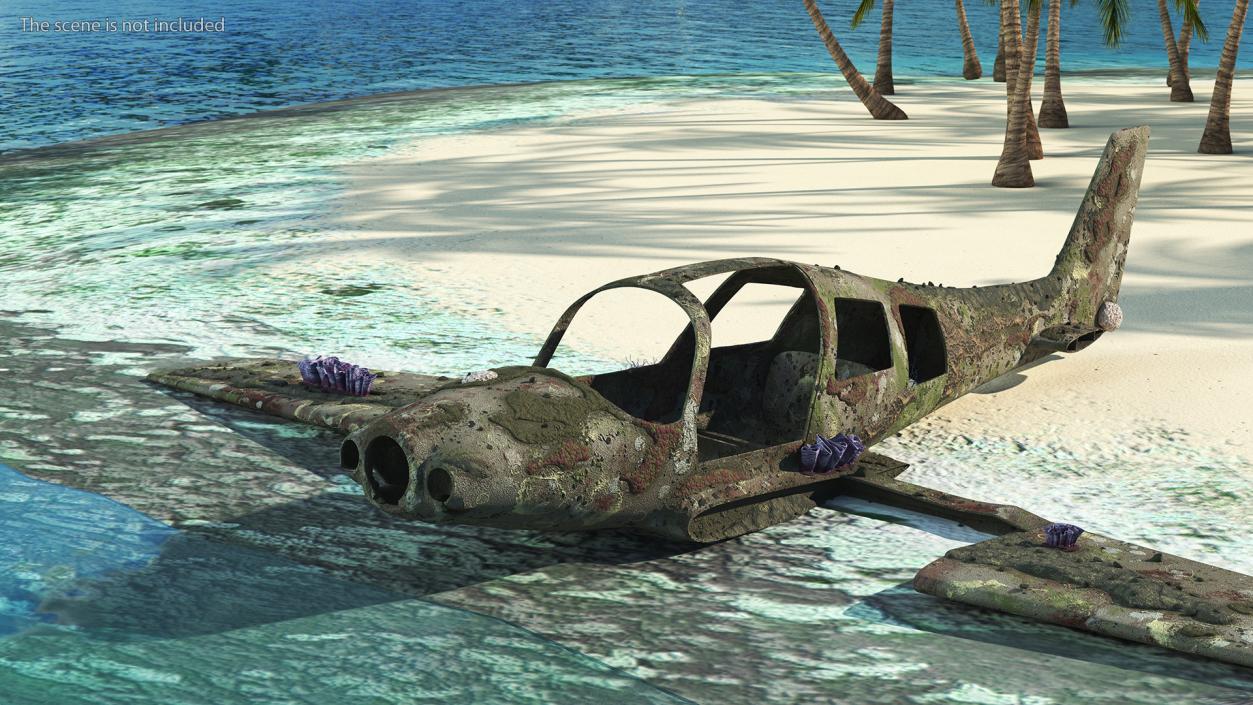 3D Airplane Wreckage from the Seabed model