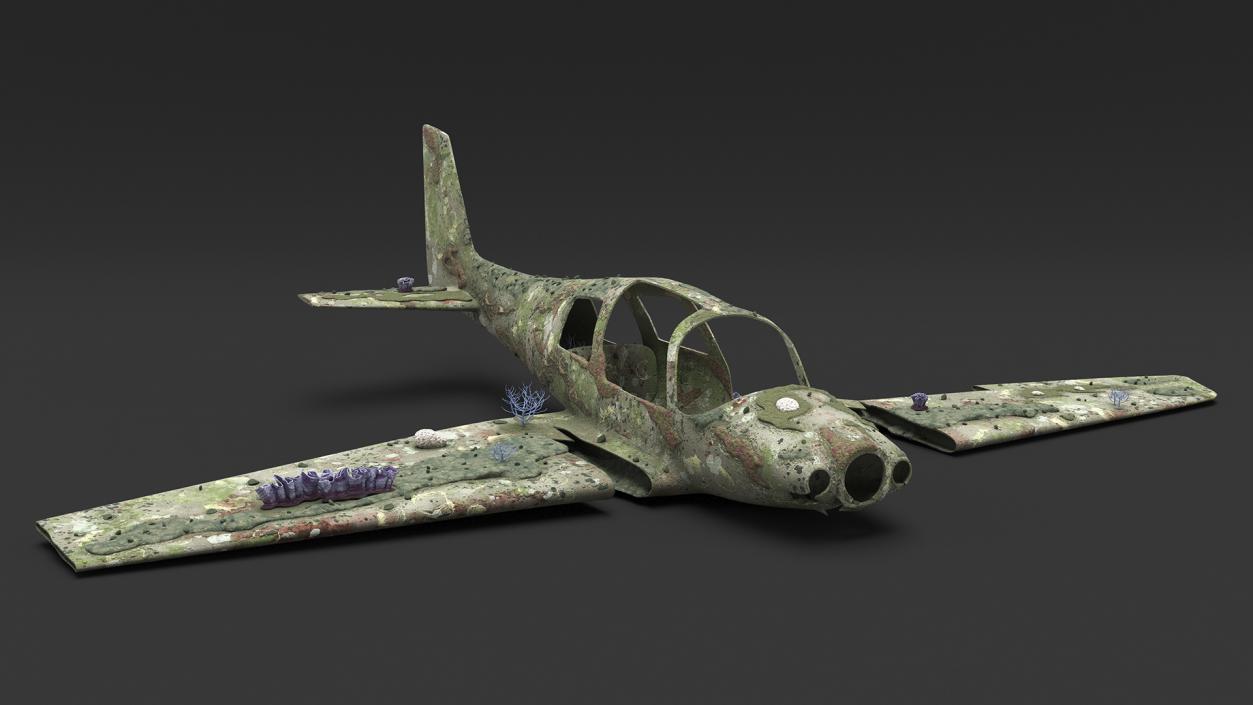 3D Airplane Wreckage from the Seabed model