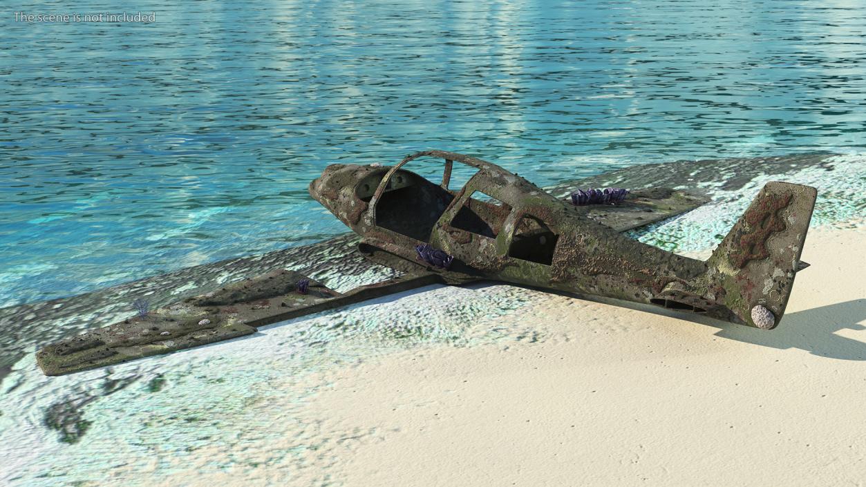 3D Airplane Wreckage from the Seabed model