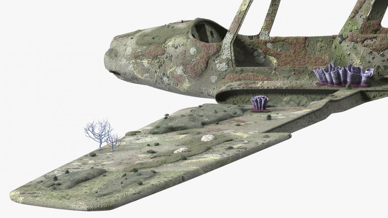 3D Airplane Wreckage from the Seabed model