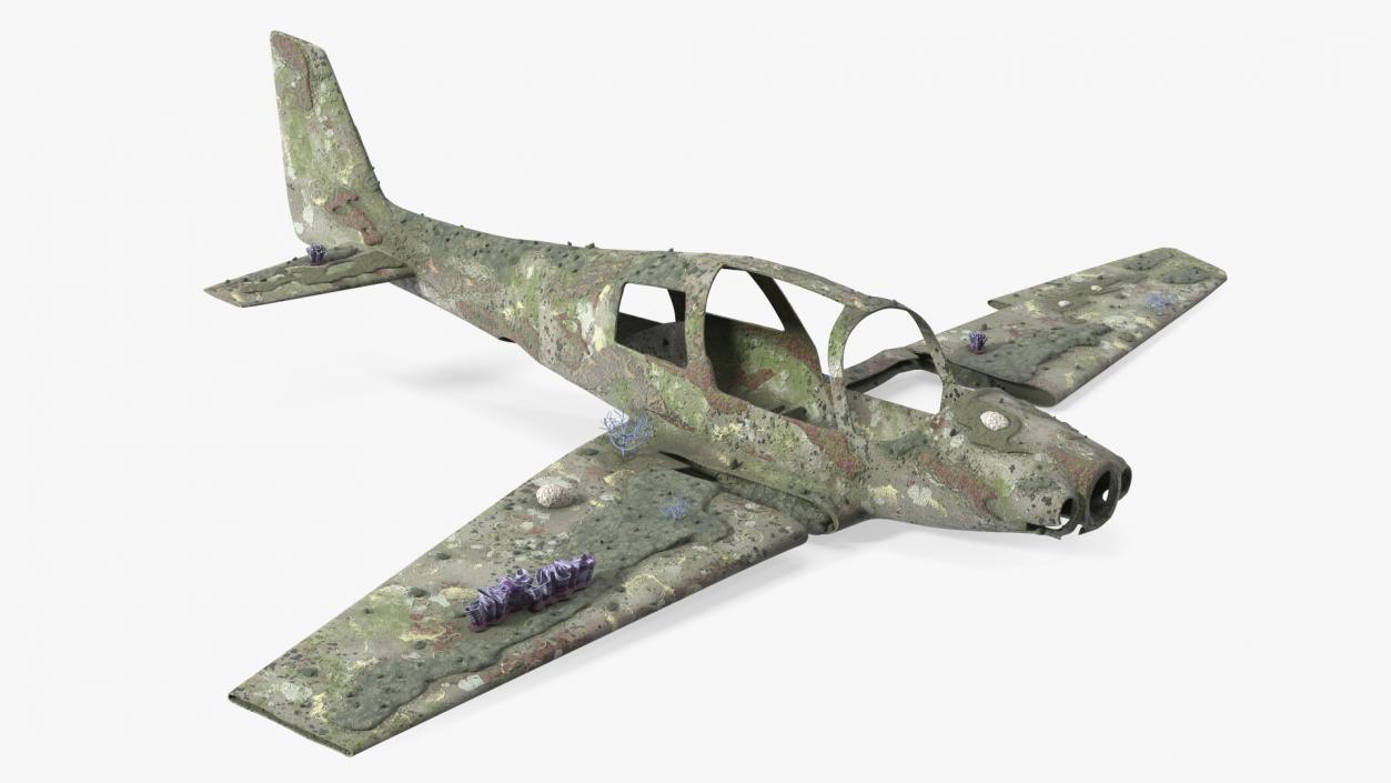 3D Airplane Wreckage from the Seabed model