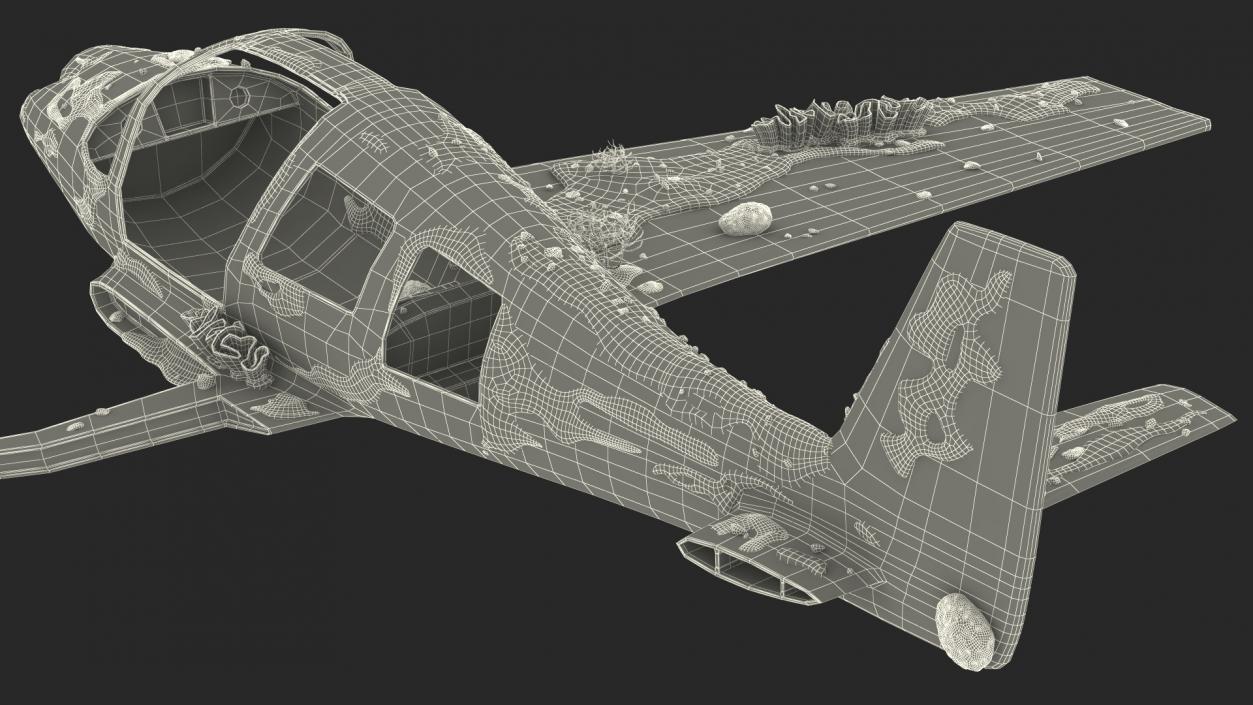 3D Airplane Wreckage from the Seabed model