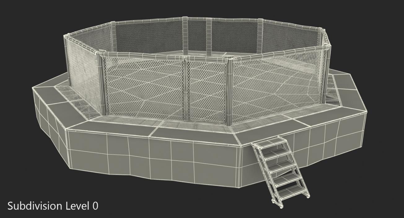 3D UFC Fighting Arena model