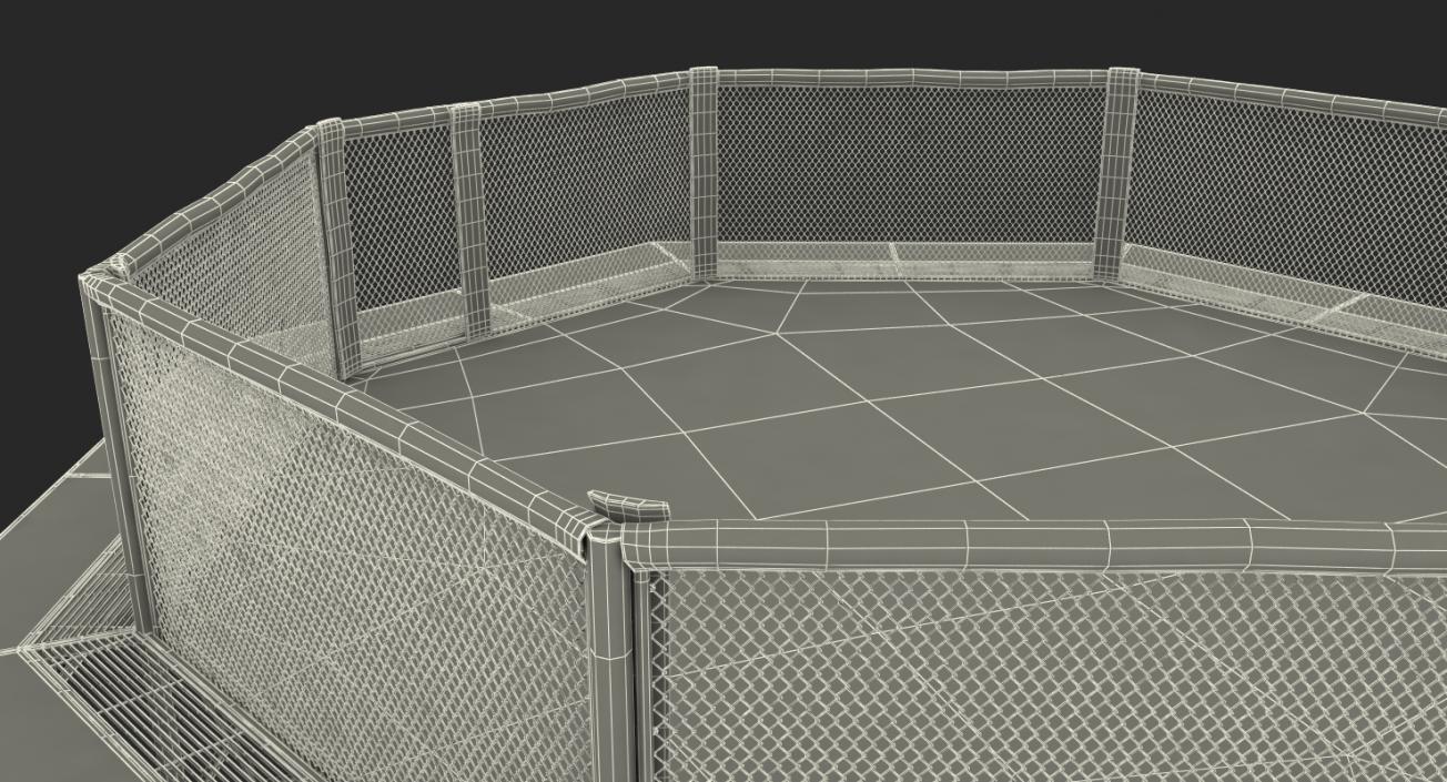 3D UFC Fighting Arena model