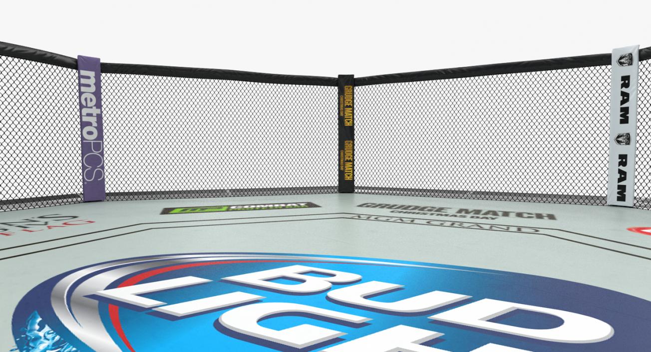 3D UFC Fighting Arena model