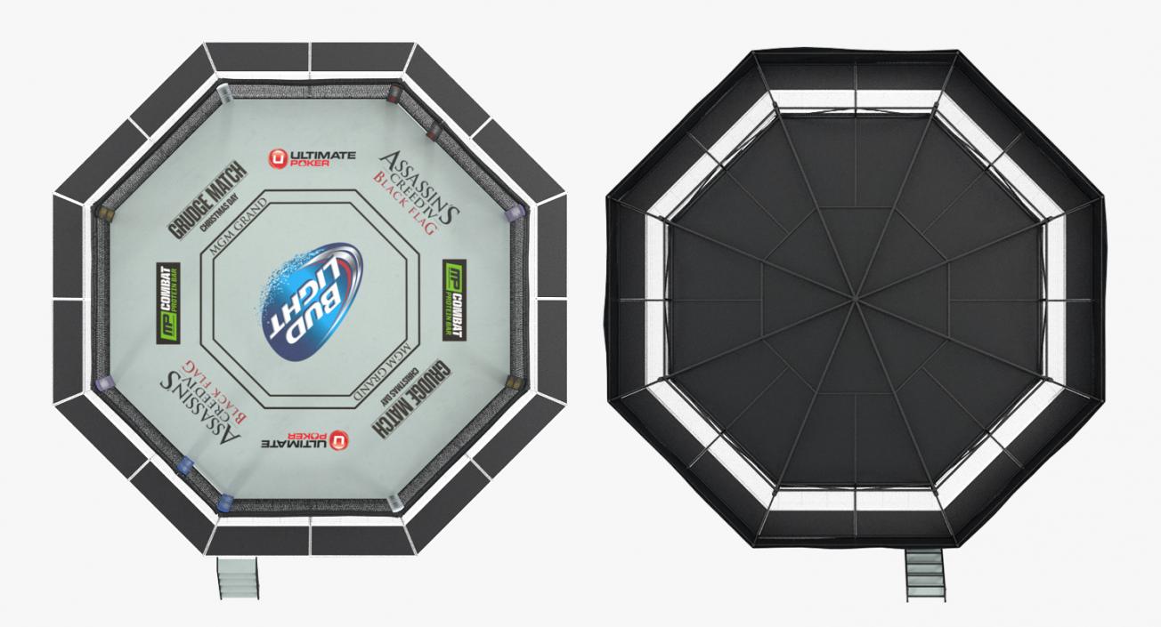 3D UFC Fighting Arena model