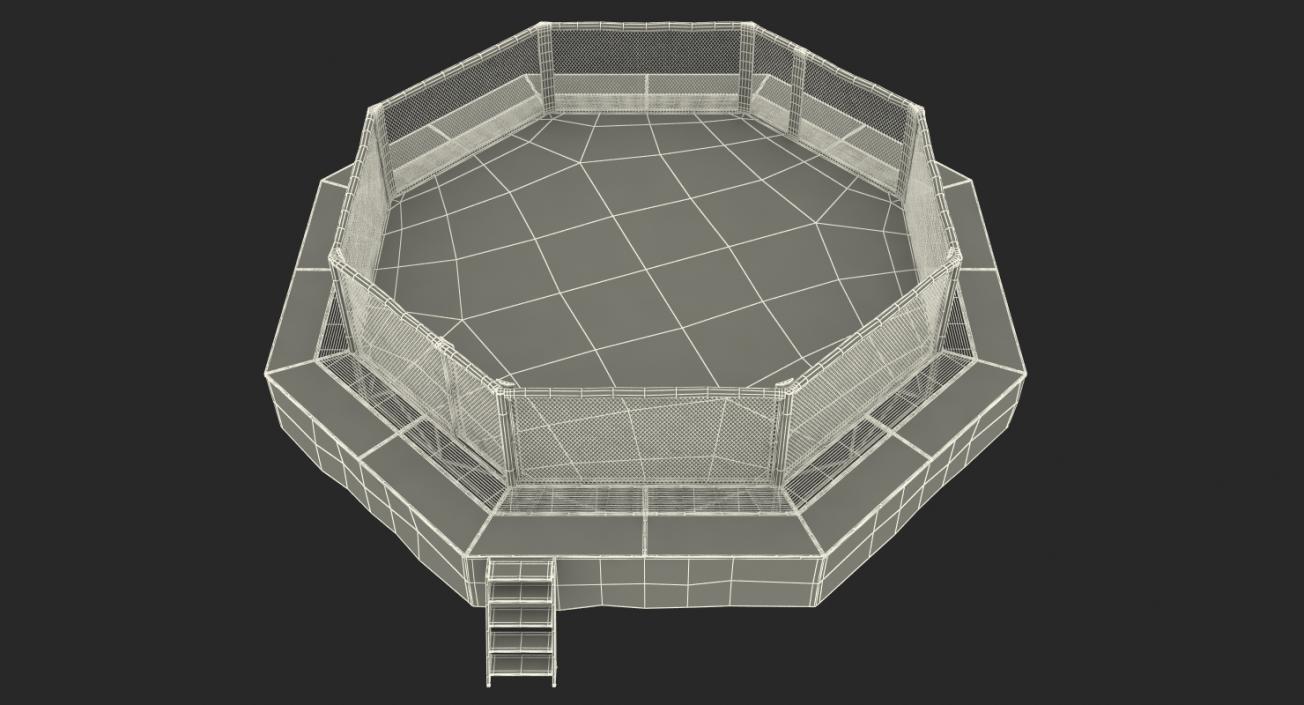 3D UFC Fighting Arena model