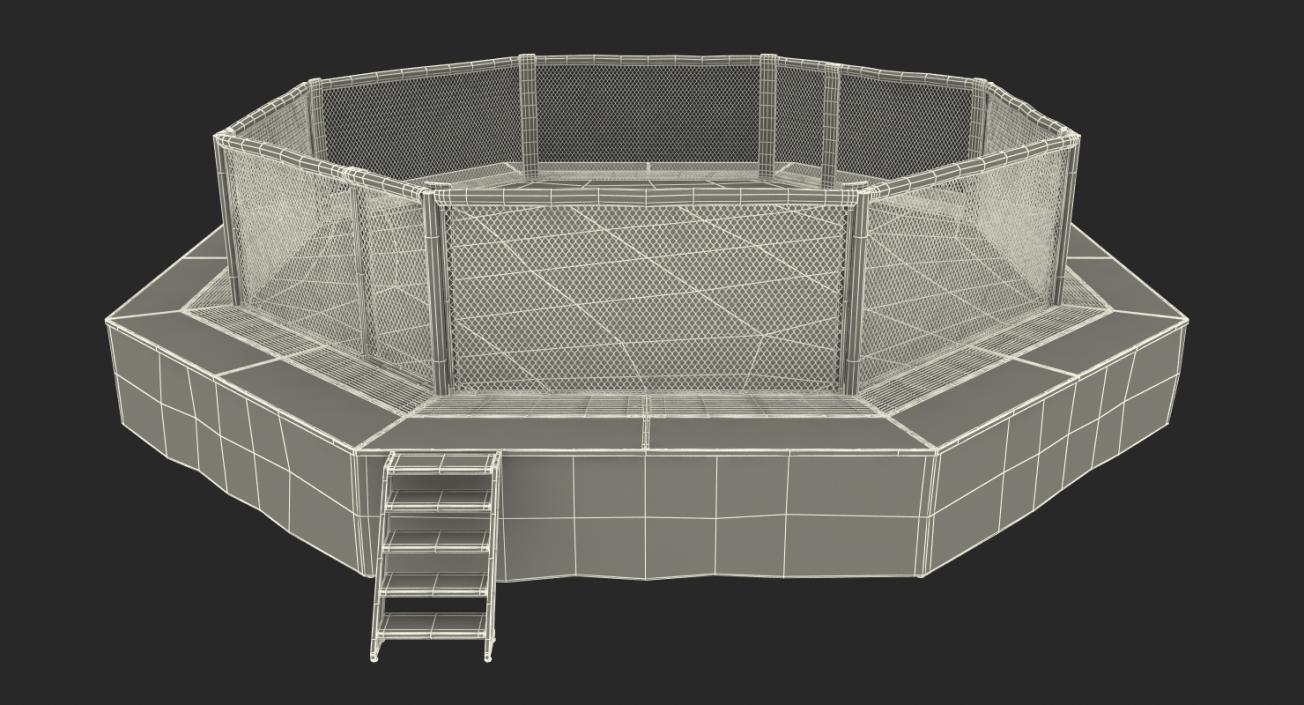 3D UFC Fighting Arena model