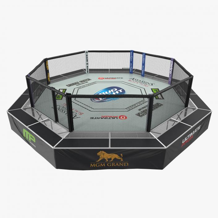 3D UFC Fighting Arena model