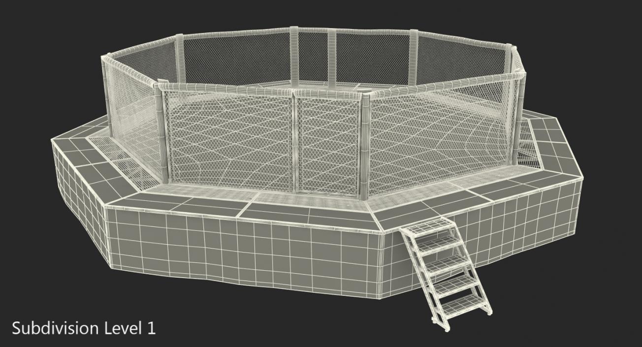 3D UFC Fighting Arena model