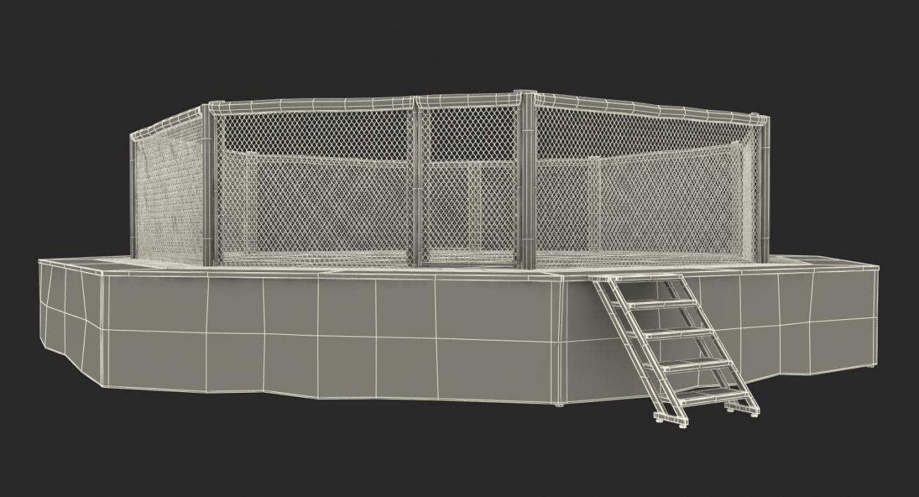 3D UFC Fighting Arena model