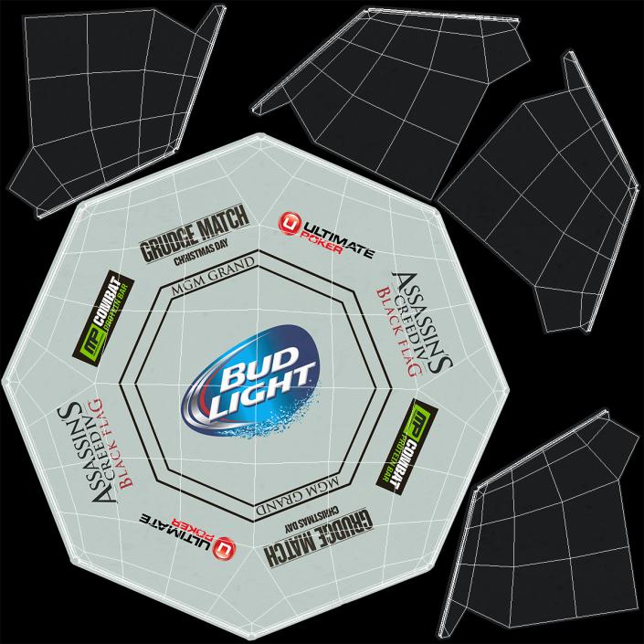 3D UFC Fighting Arena model