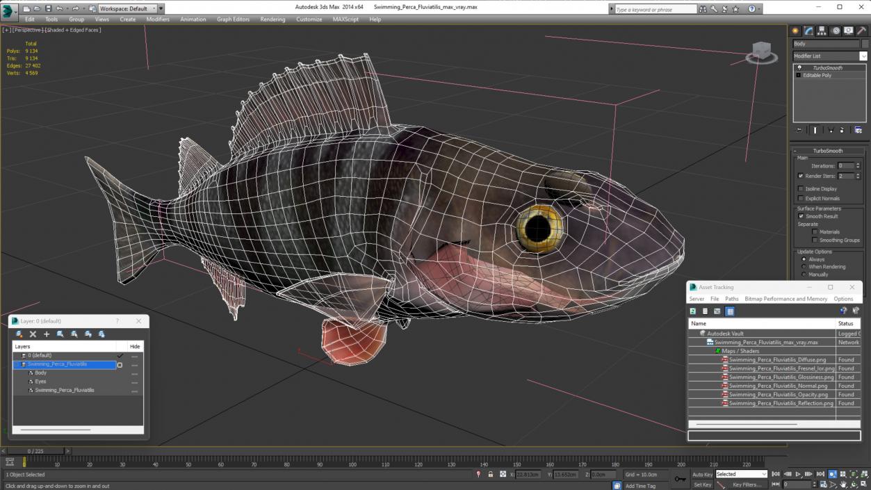 3D Swimming Perca Fluviatilis