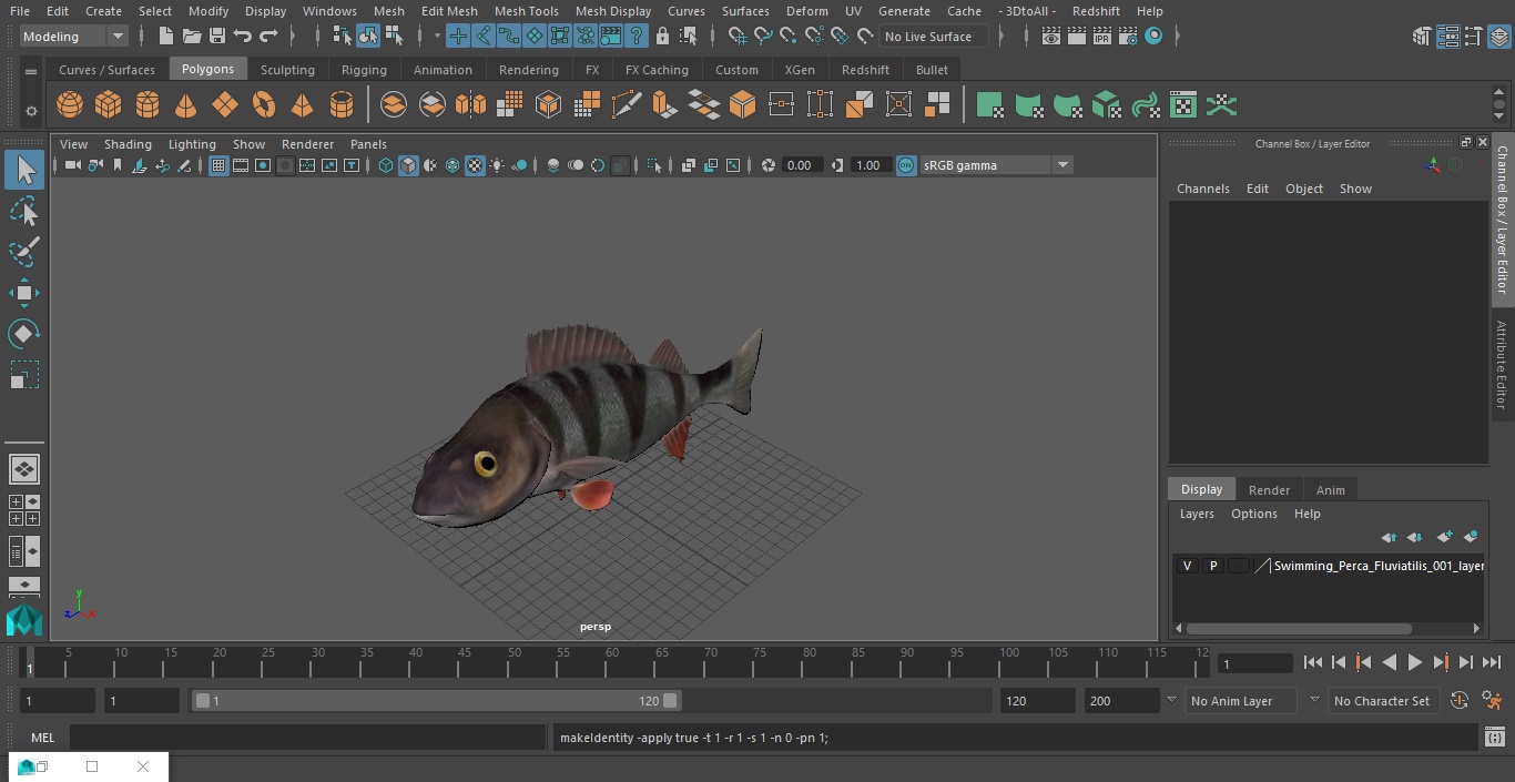 3D Swimming Perca Fluviatilis