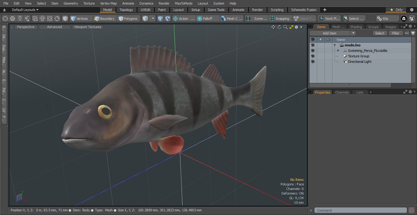 3D Swimming Perca Fluviatilis