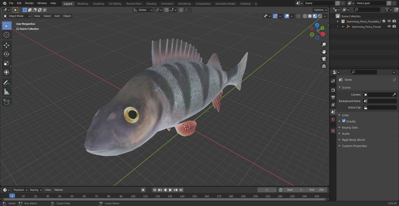 3D Swimming Perca Fluviatilis