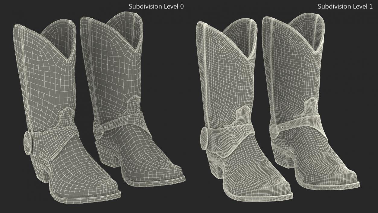 Western Cowboy Boots with Flame Pattern 3D model