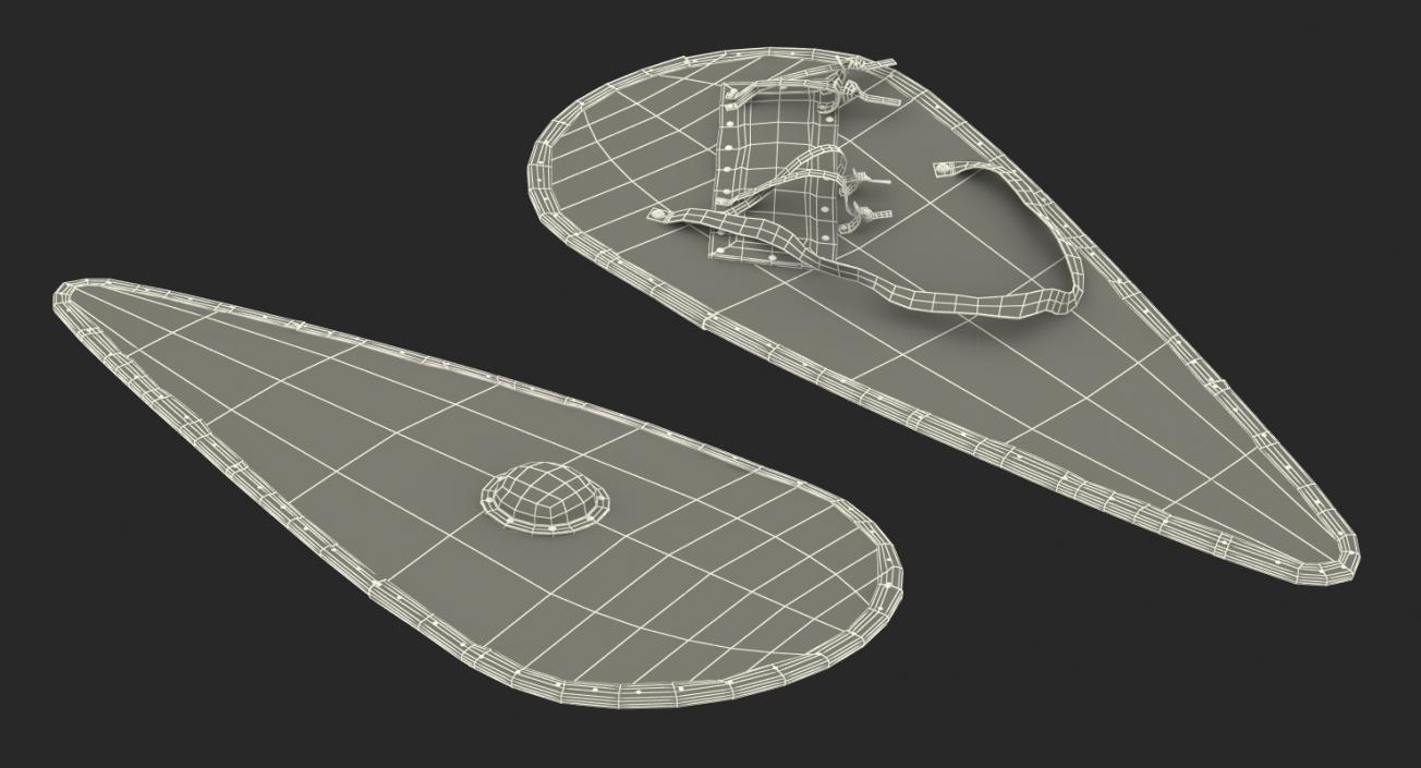 3D Norman Shield model