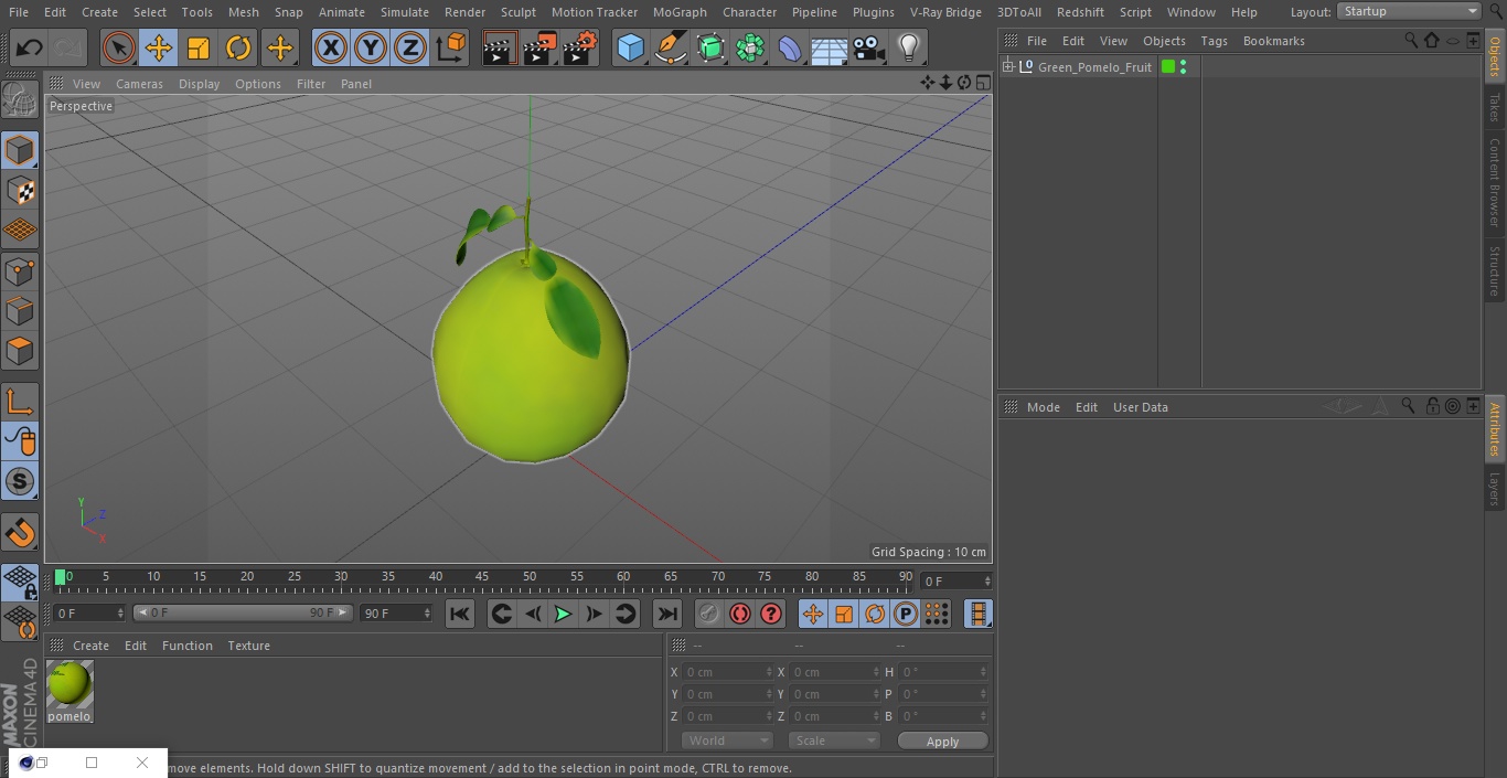 3D Green Pomelo Fruit model