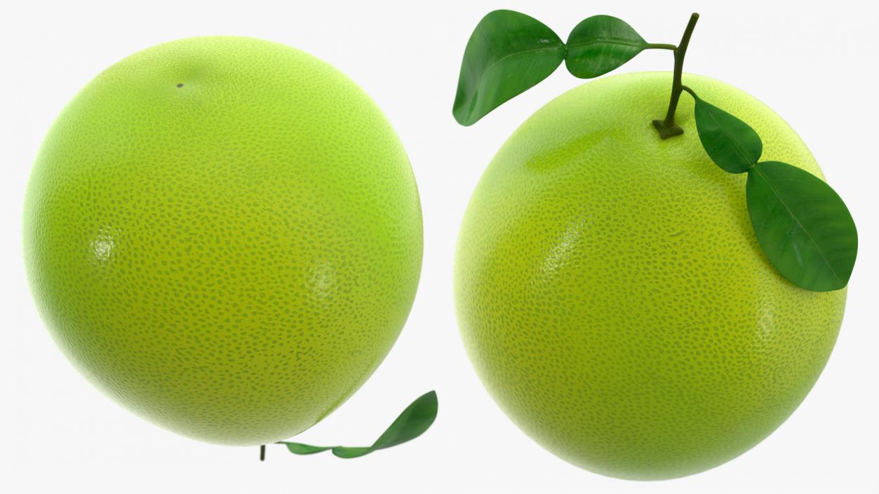 3D Green Pomelo Fruit model