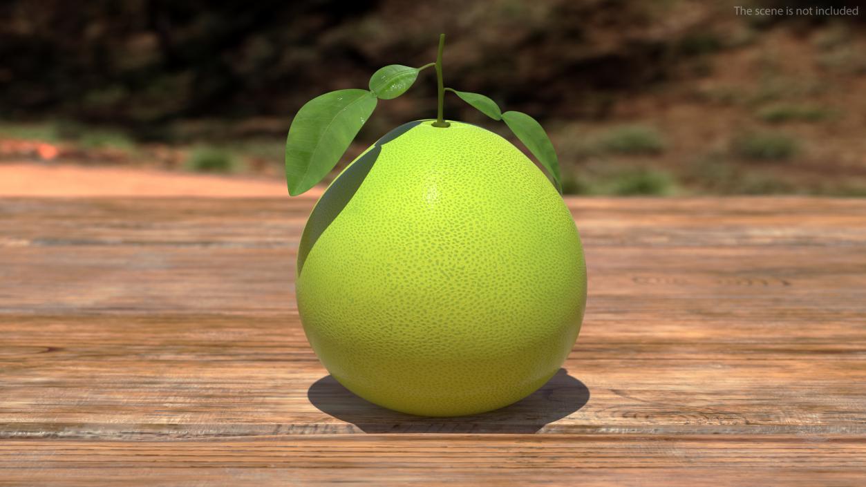 3D Green Pomelo Fruit model