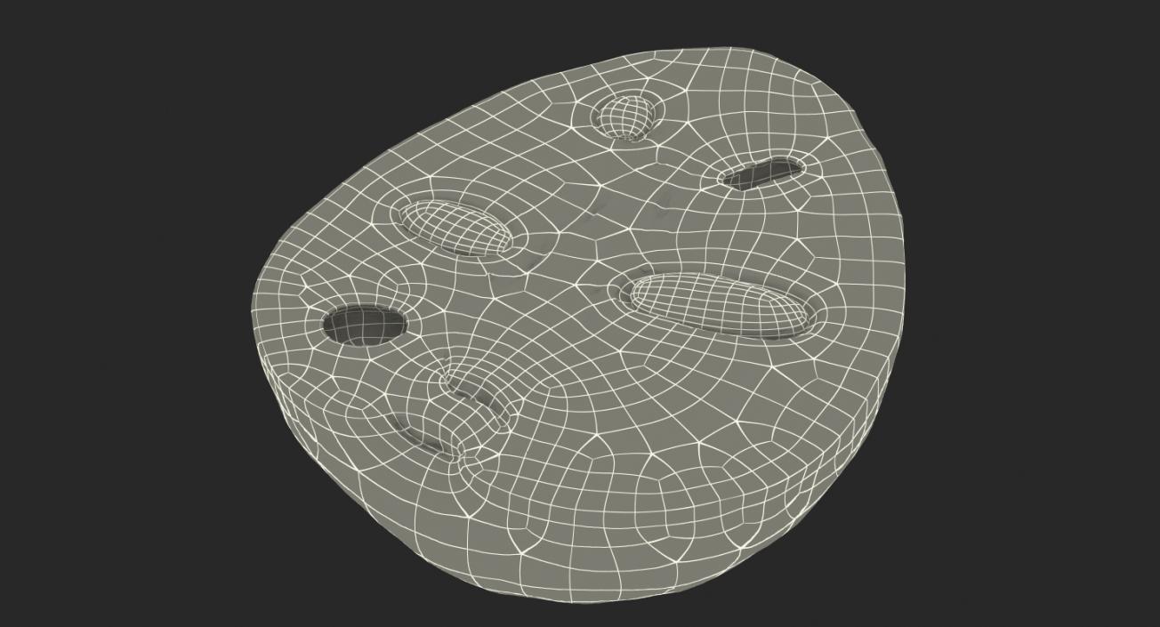 3D Cross Section Fruits Collection 6 model