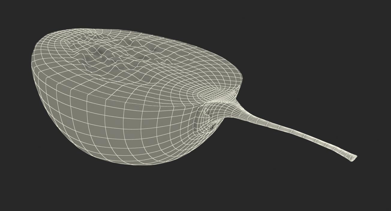 3D Cross Section Fruits Collection 6 model