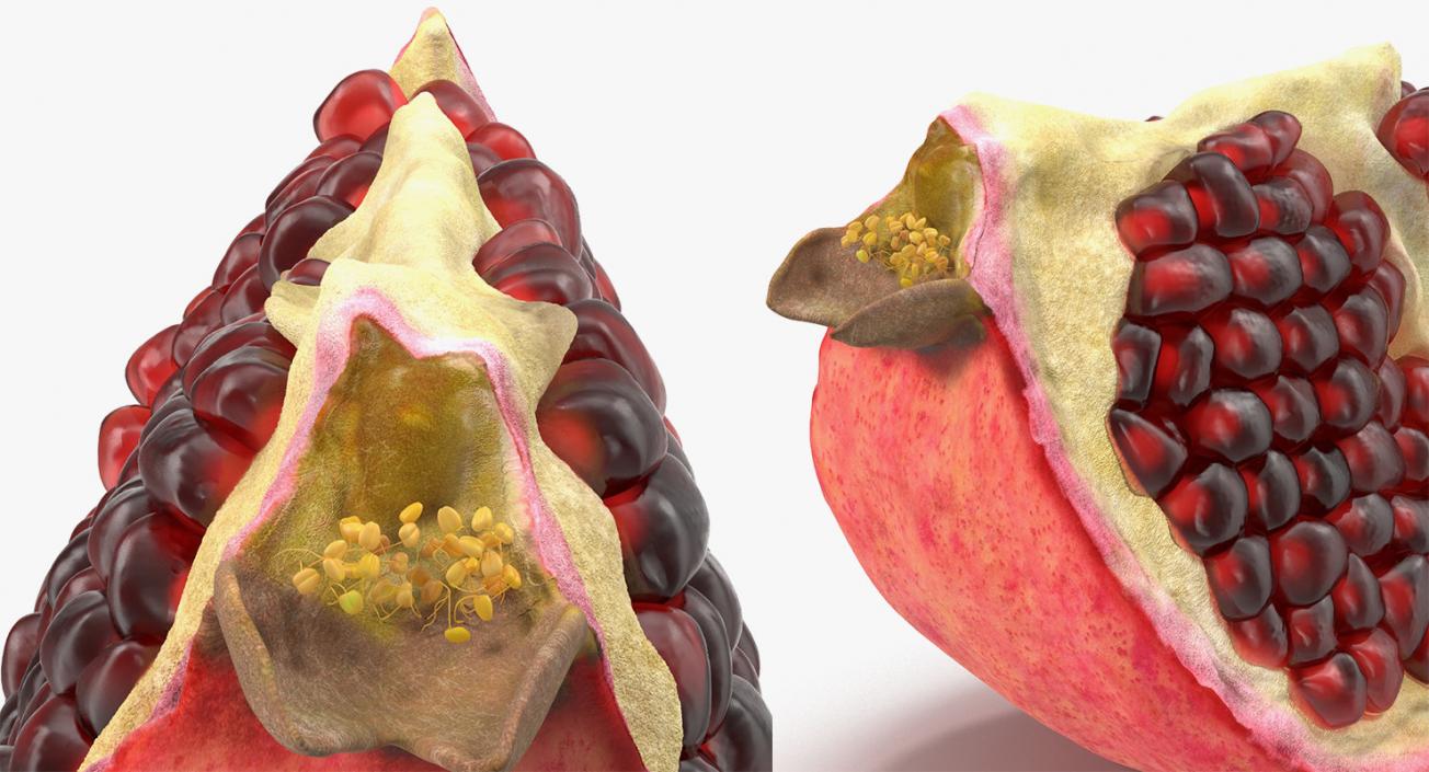 3D Cross Section Fruits Collection 6 model