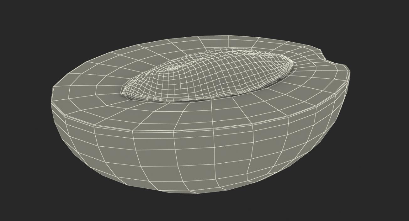 3D Cross Section Fruits Collection 6 model