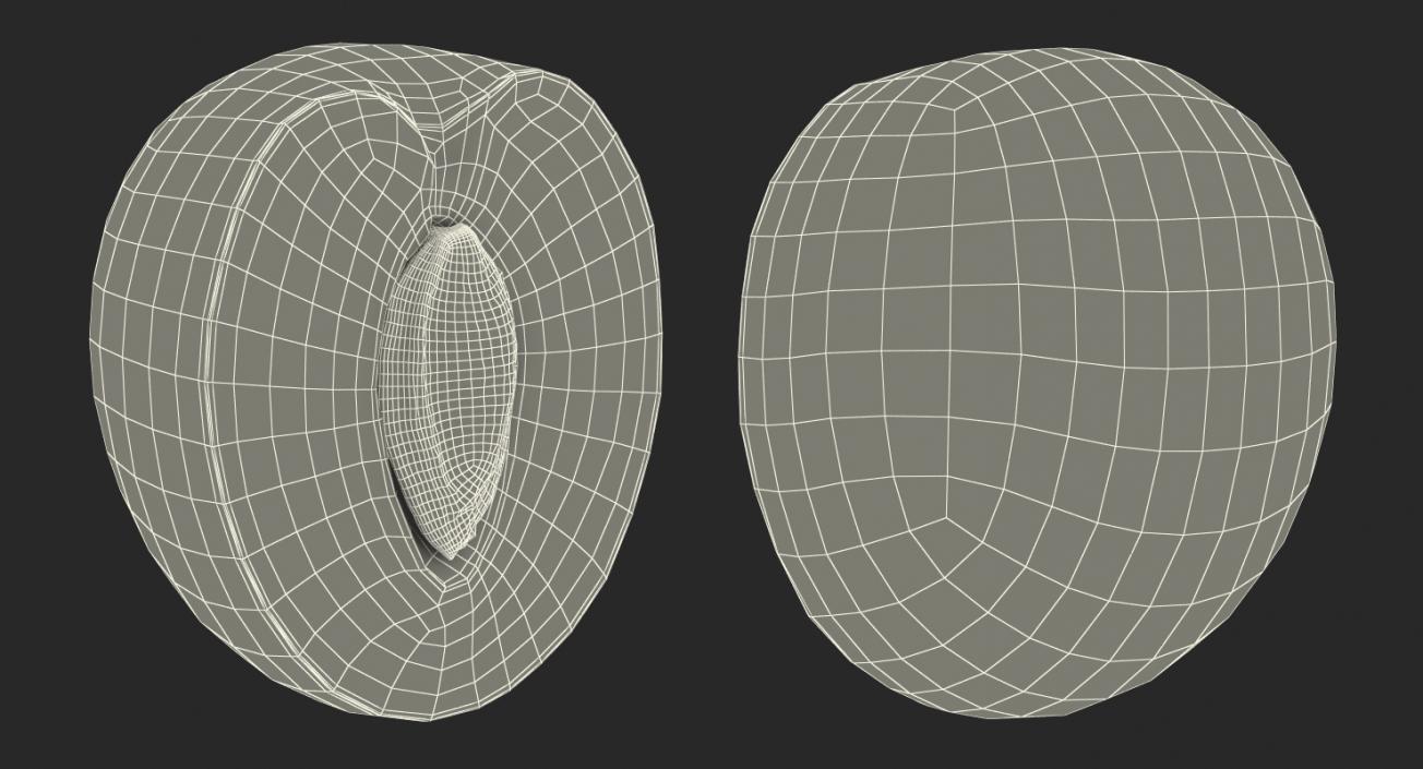 3D Cross Section Fruits Collection 6 model