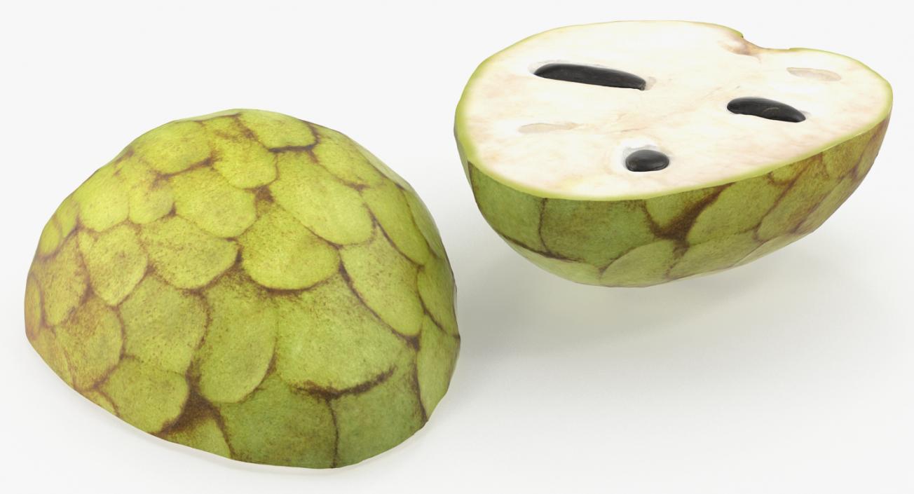 3D Cross Section Fruits Collection 6 model