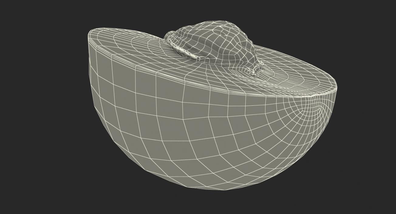 3D Cross Section Fruits Collection 6 model