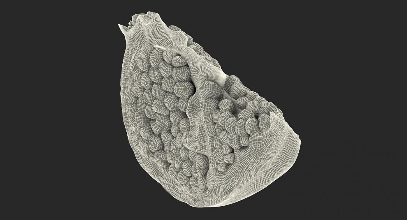 3D Cross Section Fruits Collection 6 model