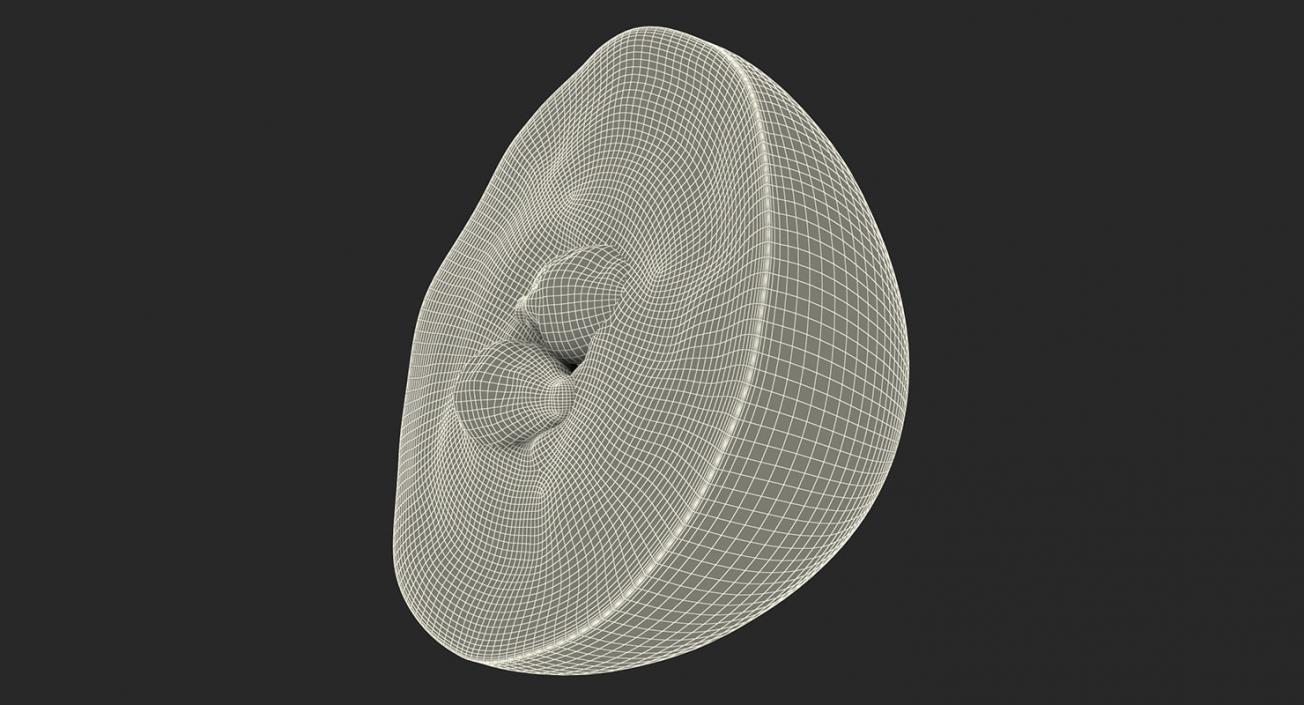 3D Cross Section Fruits Collection 6 model